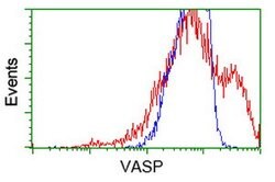 VASP Mouse anti-Human, Clone: OTI1H8, lyophilized, TrueMAB 100 &mu;g; Unconjugated:Antibodies,
