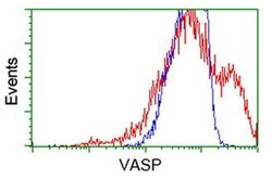 VASP Monoclonal Antibody (OTI1H8), TrueMAB , OriGene 100 &mu;L; Unconjugated:Antibodies,