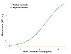 VBP1 Mouse anti-Human, Biotin, Clone: OTI1H5, liquid, TrueMAB 50 &mu;g;
