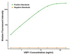 VBP1 Mouse anti-Human, Biotin, Clone: OTI1H5, liquid, TrueMAB 50 &mu;g;
