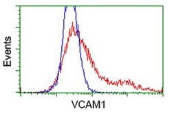 VCAM1 Monoclonal Antibody (OTI2G5), TrueMAB , OriGene 100 &mu;L; Unconjugated:Antibodies,