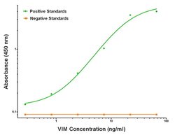 VIM Mouse anti-Human, Biotin, Clone: OTI7B10, liquid, TrueMAB 50 &mu;g;