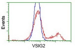 VSIG2 Mouse anti-Human, Clone: OTI1F8, lyophilized, TrueMAB 100 &mu;g;