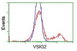 VSIG2 Monoclonal Antibody (OTI1F8), TrueMAB , OriGene 30 &mu;L | Buy Online | Origene Technologies | Fisher Scientific