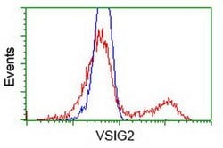 VSIG2 Monoclonal Antibody (OTI1H2), TrueMAB , OriGene 30 &mu;L; Unconjugated:Antibodies,