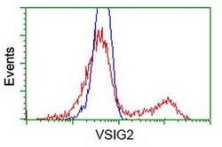 VSIG2 Mouse anti-Human, Clone: OTI5A10, liquid, TrueMAB 100 &mu;L; Unconjugated:Antibodies,