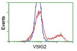 VSIG2 Mouse anti-Human, Clone: OTI11B3, lyophilized, TrueMAB 100 &mu;g | Buy Online | Origene Technologies | Fisher Scientific