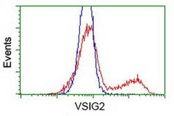 VSIG2 Monoclonal Antibody (OTI11B3), TrueMAB , OriGene 100 &mu;L; Unconjugated:Antibodies,