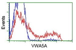 VWA5A Monoclonal Antibody (OTI3E10), TrueMAB , OriGene:Antibodies:Primary