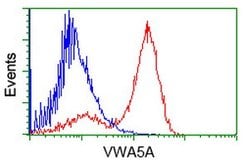 VWA5A Mouse anti-Human, Clone: OTI2C6, lyophilized, TrueMAB 100 &mu;g;