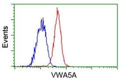 VWA5A Mouse anti-Human, Clone: OTI2C6, lyophilized, TrueMAB 100 &mu;g;