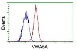 VWA5A Monoclonal Antibody (OTI2C6), TrueMAB , OriGene 100 &mu;L; Unconjugated:Antibodies,