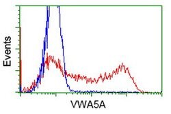 VWA5A Mouse anti-Human, Clone: OTI2B3, lyophilized, TrueMAB 100 &mu;g;