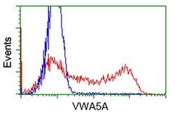 VWA5A Monoclonal Antibody (OTI2B3), TrueMAB , OriGene 100 &mu;L; Unconjugated:Antibodies,