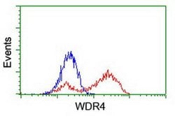WDR4 Monoclonal Antibody (OTI4G1), TrueMAB , OriGene 100 &mu;L; Unconjugated:Antibodies,