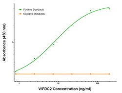 WFDC2 Mouse anti-Human, Biotin, Clone: OTI2A7, liquid, TrueMAB 50 &mu;g;