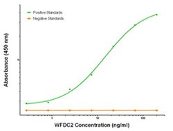 WFDC2 Mouse anti-Human, Biotin, Clone: OTI2A7, liquid, TrueMAB 50 &mu;g;