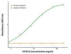 WFDC2 Mouse anti-Human, Biotin, Clone: OTI2A7, liquid, TrueMAB 50 &mu;g;