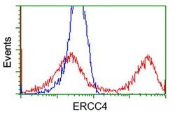 XPF Mouse anti-Human, Clone: OTI2D4, lyophilized, TrueMAB 100 &mu;g; Unconjugated:Antibodies,