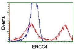 XPF Monoclonal Antibody (OTI2D4), TrueMAB , OriGene 100 &mu;L; Unconjugated:Antibodies,