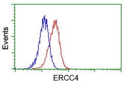 XPF Mouse anti-Human, Clone: OTI2D4, lyophilized, TrueMAB 100 &mu;g; Unconjugated:Antibodies,