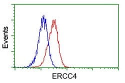 XPF Monoclonal Antibody (OTI2D4), TrueMAB , OriGene 100 &mu;L; Unconjugated:Antibodies,