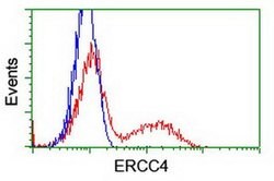 XPF Monoclonal Antibody (OTI6E6), TrueMAB , OriGene 100 &mu;L; Unconjugated:Antibodies,