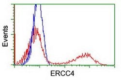 XPF Monoclonal Antibody (OTI2A1), TrueMAB , OriGene 100 &mu;L; Unconjugated:Antibodies,