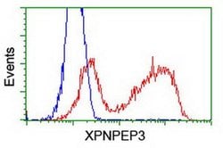 XPNPEP3 Monoclonal Antibody (OTI5G2), TrueMAB , OriGene 100 &mu;L; Unconjugated:Antibodies,