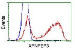 XPNPEP3 Monoclonal Antibody (OTI4B8), TrueMAB , OriGene 100 &mu;L; Unconjugated:Antibodies,