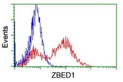 ZBED1 Mouse anti-Human, Clone: OTI2E5, lyophilized, TrueMAB 100 &mu;g;