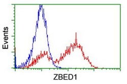ZBED1 Monoclonal Antibody (OTI2H3), TrueMAB , OriGene 100 &mu;L; Unconjugated:Antibodies,