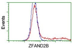 ZFAND2B Mouse anti-Human, Clone: OTI1G9, lyophilized, TrueMAB 100 &mu;g;