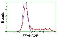 ZFAND2B Monoclonal Antibody (OTI1G10), TrueMAB , OriGene 100 &mu;L; Unconjugated:Antibodies,