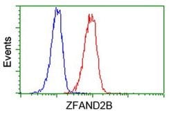ZFAND2B Monoclonal Antibody (OTI1G10), TrueMAB , OriGene 100 &mu;L; Unconjugated:Antibodies,