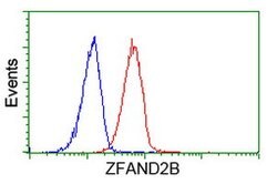 ZFAND2B Mouse anti-Human, Clone: OTI3A5, lyophilized, TrueMAB 100 &mu;g;