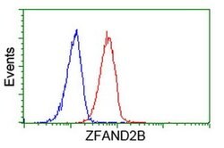 ZFAND2B Monoclonal Antibody (OTI3A5), TrueMAB , OriGene 100 &mu;L; Unconjugated:Antibodies,