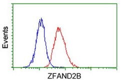 ZFAND2B Mouse anti-Human, Clone: OTI3A5, lyophilized, TrueMAB 100 &mu;g;