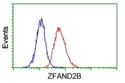 ZFAND2B Monoclonal Antibody (OTI3A5), TrueMAB , OriGene 100 &mu;L; Unconjugated:Antibodies,