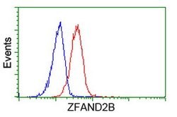 ZFAND2B Mouse anti-Human, Clone: OTI2G10, lyophilized, TrueMAB 100 &mu;g;