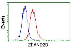 ZFAND2B Mouse anti-Human, Clone: OTI2G10, lyophilized, TrueMAB 100 &mu;g;