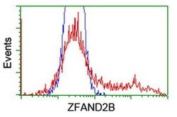 ZFAND2B Monoclonal Antibody (OTI3D6), TrueMAB , OriGene 100 &mu;L; Unconjugated:Antibodies,