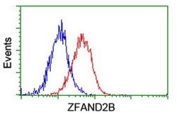 ZFAND2B Monoclonal Antibody (OTI3D6), TrueMAB , OriGene 100 &mu;L; Unconjugated:Antibodies,