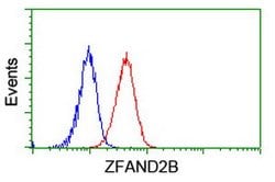 ZFAND2B Mouse anti-Human, Clone: OTI3D6, lyophilized, TrueMAB 100 &mu;g;