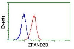 ZFAND2B Monoclonal Antibody (OTI3D6), TrueMAB , OriGene 100 &mu;L; Unconjugated:Antibodies,