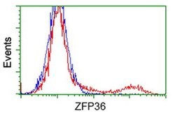 ZFP36 Monoclonal Antibody (OTI1H6), TrueMAB , OriGene 100 &mu;L; Unconjugated:Antibodies,
