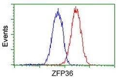ZFP36 Monoclonal Antibody (OTI1H6), TrueMAB , OriGene 100 &mu;L; Unconjugated:Antibodies,