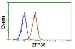 ZFP36 Monoclonal Antibody (OTI4B10), TrueMAB , OriGene 100 &mu;L; Unconjugated:Antibodies,