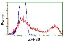 ZFP36 Monoclonal Antibody (OTI3C3), TrueMAB , OriGene:Antibodies:Primary