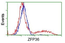 ZFP36 Mouse anti-Human, Clone: OTI3H1, lyophilized, TrueMAB 100 &mu;g;